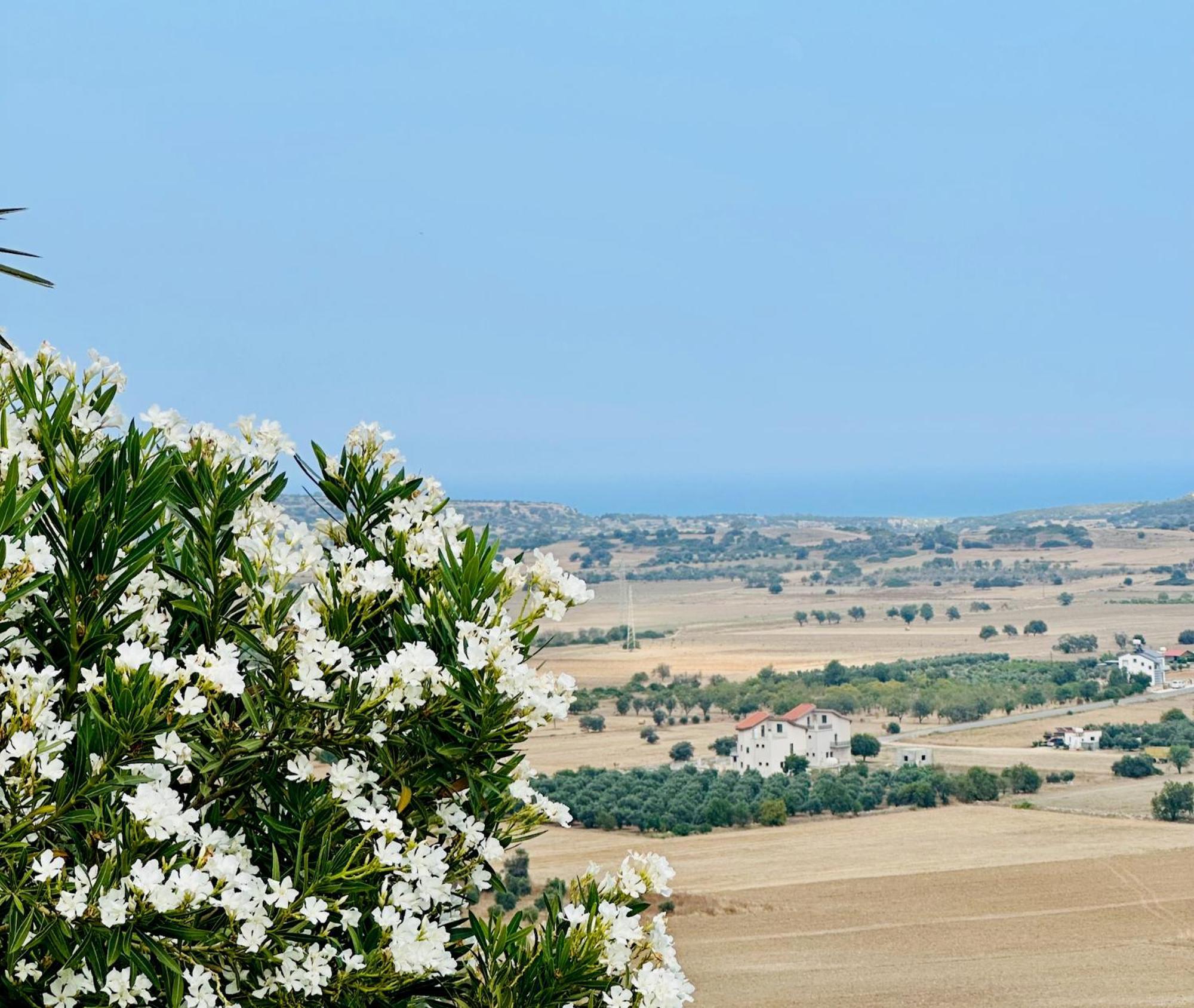 Celebi Garden Hotel - Cittaslow Retreat Famagusta (Northern Cyprus) Exterior foto