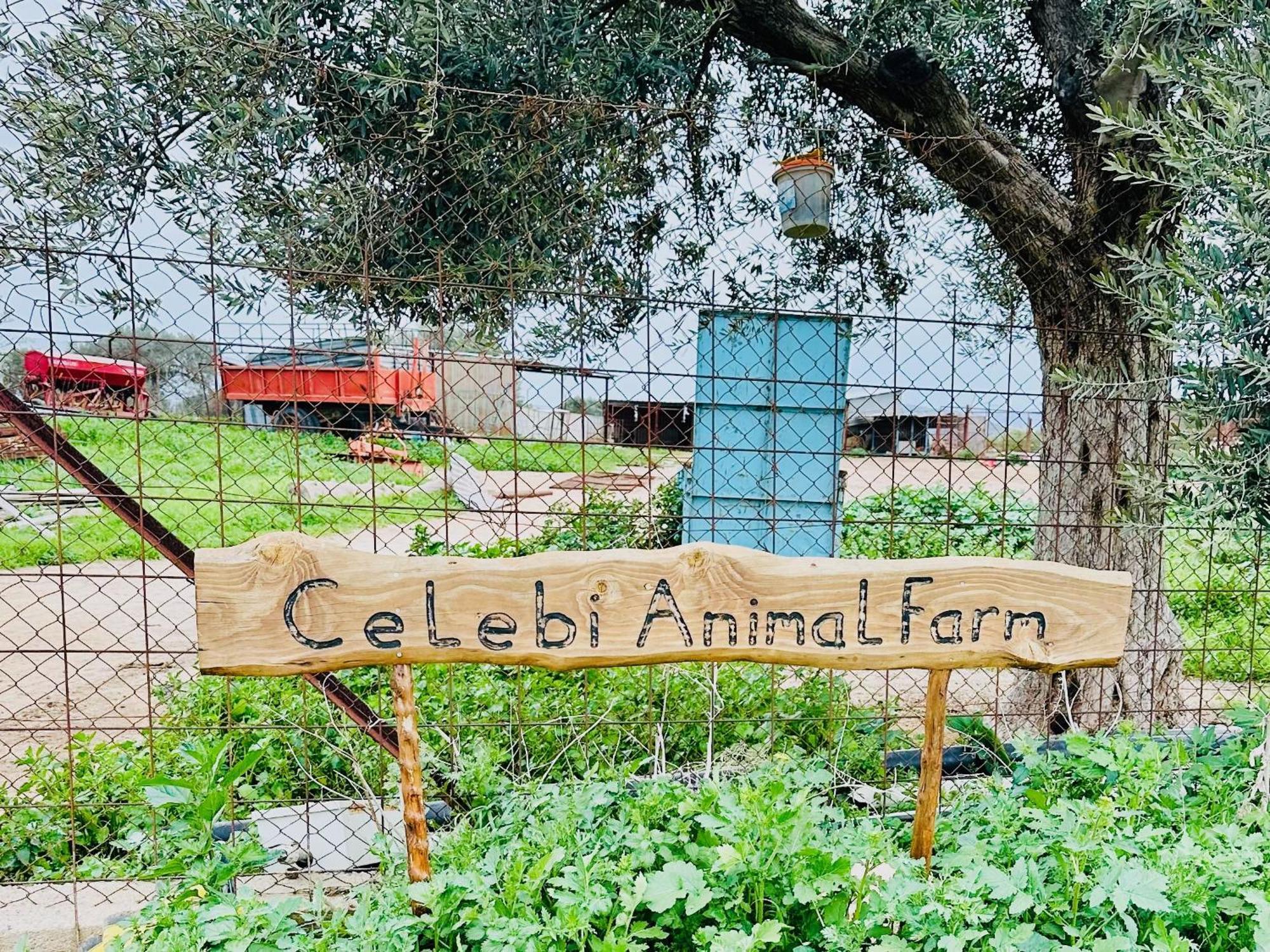 Celebi Garden Hotel - Cittaslow Retreat Famagusta (Northern Cyprus) Exterior foto